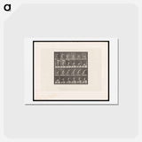 アートポストカード-Discus Thrower
 - エドワード マイブリッジ Postcard.