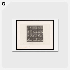 アートポストカード-Discus Thrower
 - エドワード マイブリッジ Postcard.