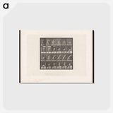 アートポストカード-Discus Thrower
 - エドワード マイブリッジ Postcard.