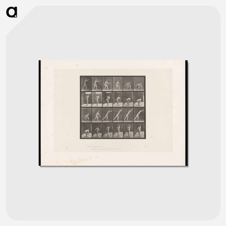 アートポストカード-Discus Thrower
 - エドワード マイブリッジ Postcard.