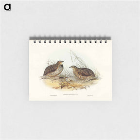 アートメモ帳-Pectoral Quail
 - ジョン グールド Memo.