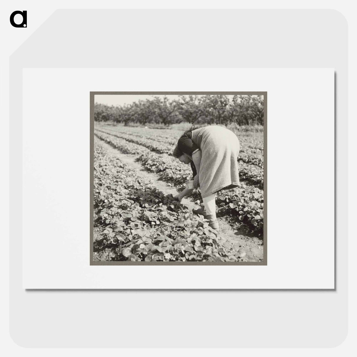 Mountain View - Dorothea Lange Poster.