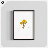 Crocus luteus illustration - Pierre Joseph Redouté Poster.