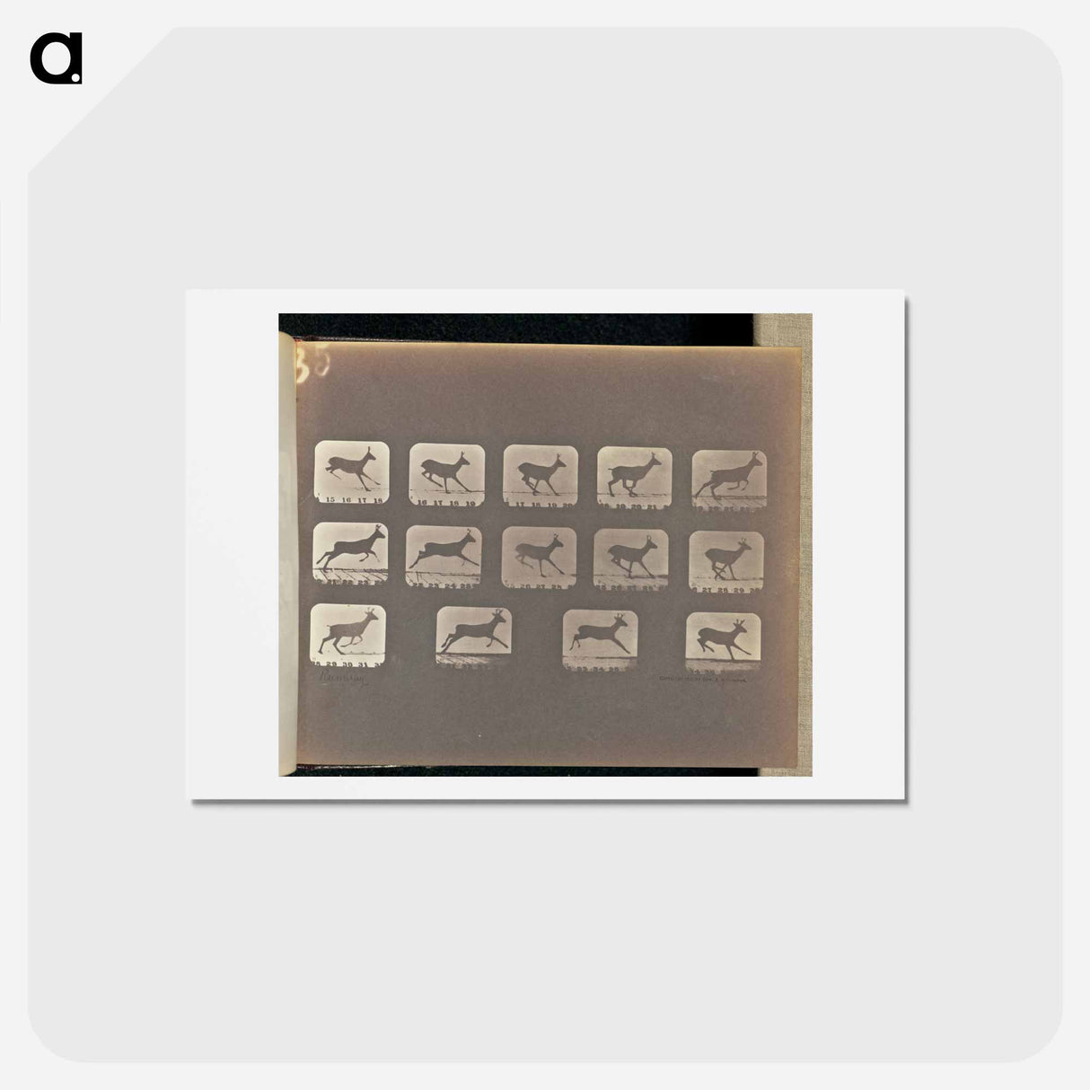 アートポストカード-Running
 - エドワード マイブリッジ Postcard.