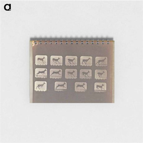 アートメモ帳-Running
 - エドワード マイブリッジ Memo.