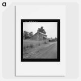 Tobacco sharecropper's house - Dorothea Lange Poster.