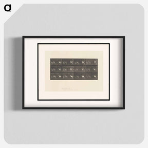 アートポスター-Running Fallow Deer
 - エドワード マイブリッジ Poster.