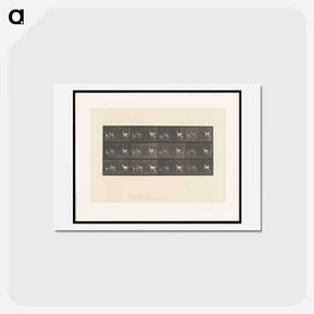 アートポストカード-Running Fallow Deer
 - エドワード マイブリッジ Postcard.