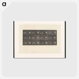アートポストカード-Running Fallow Deer
 - エドワード マイブリッジ Postcard.
