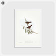 アートポストカード-Brown Red-throat
 - ジョン グールド Postcard.