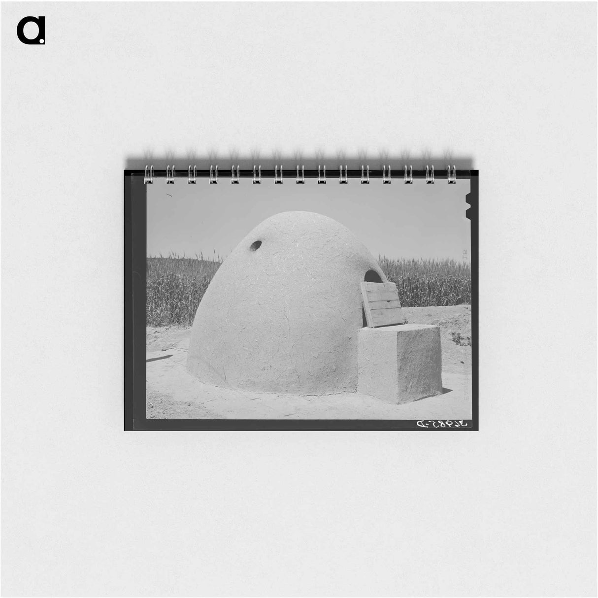 アートメモ帳-Guayule Cultivation
 - ラッセル リー Memo.