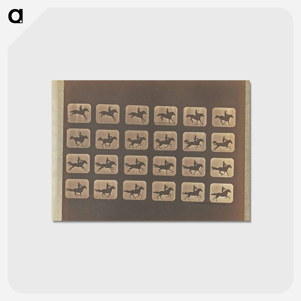 アートポストカード-Leaping
 - エドワード マイブリッジ Postcard.