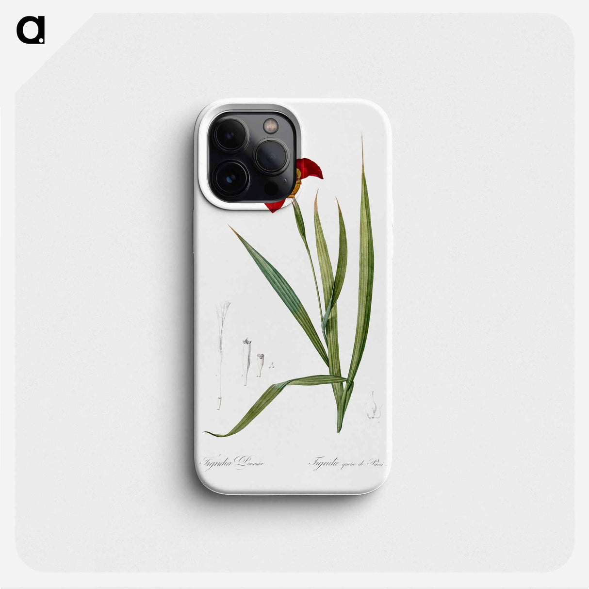 Tiger flower illustration - Pierre Joseph Redouté Phone Case.