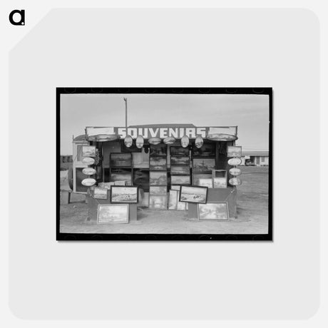 アートポストカード-Buckeye Painter Souvenir Stand
 - ラッセル リー Postcard.