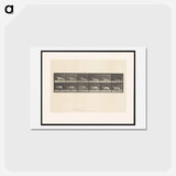 アートポストカード-Rising Mastiff
 - エドワード マイブリッジ Postcard.