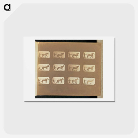 アートポストカード-Hauling
 - エドワード マイブリッジ Postcard.
