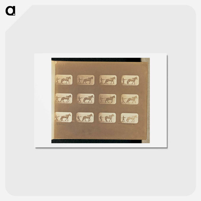 アートポストカード-Hauling
 - エドワード マイブリッジ Postcard.