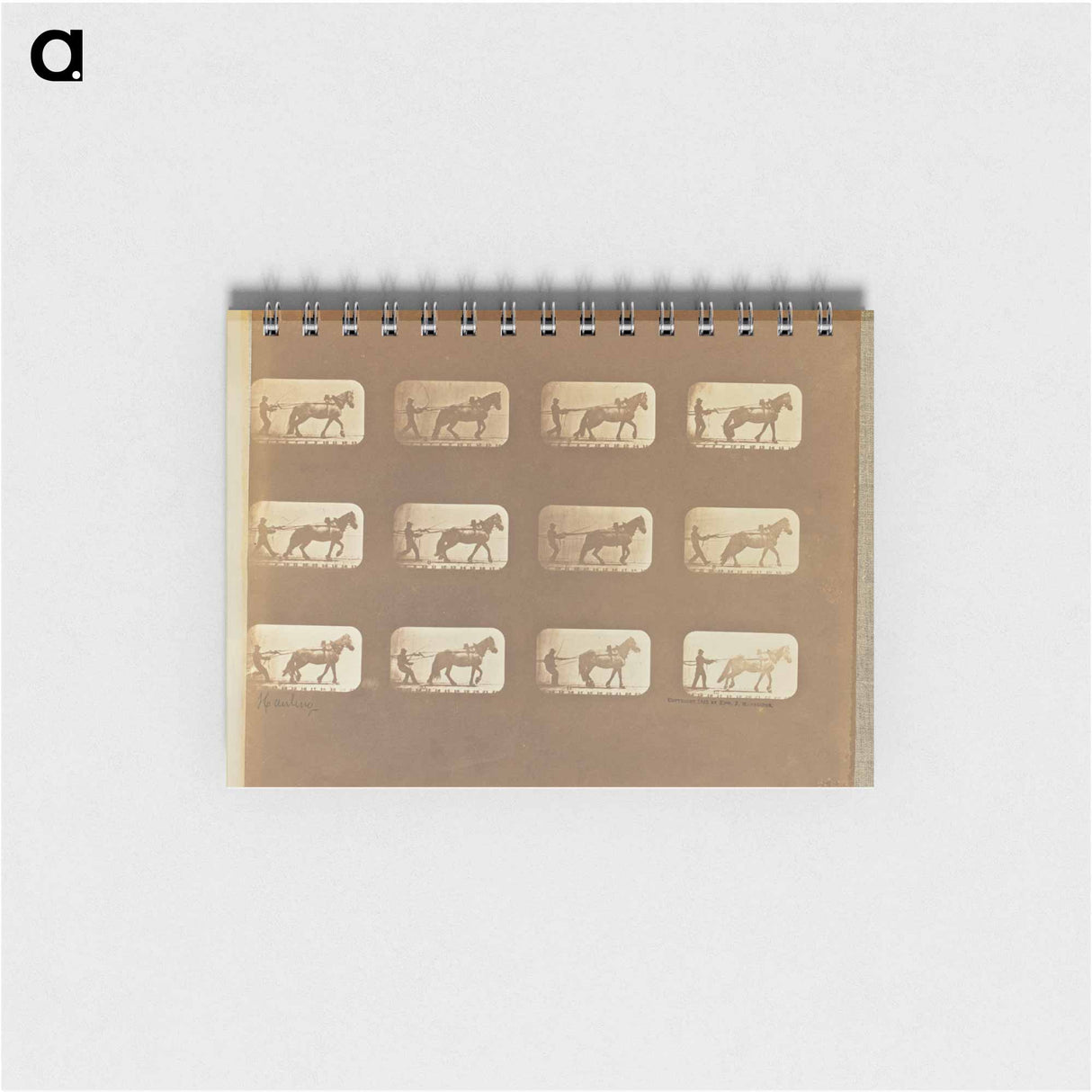 アートメモ帳-Hauling
 - エドワード マイブリッジ Memo.