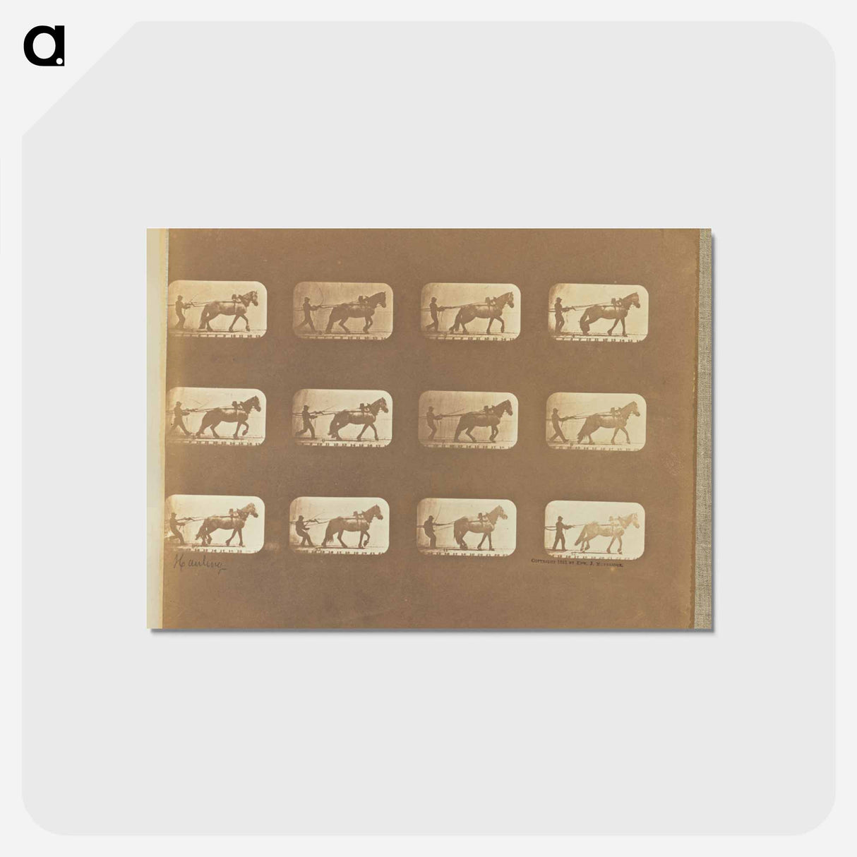 アートポストカード-Hauling
 - エドワード マイブリッジ Postcard.