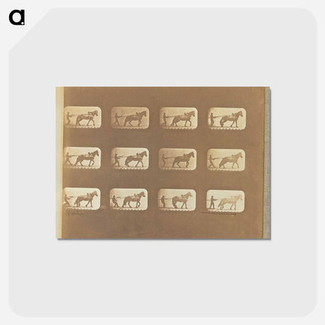 アートポストカード-Hauling
 - エドワード マイブリッジ Postcard.
