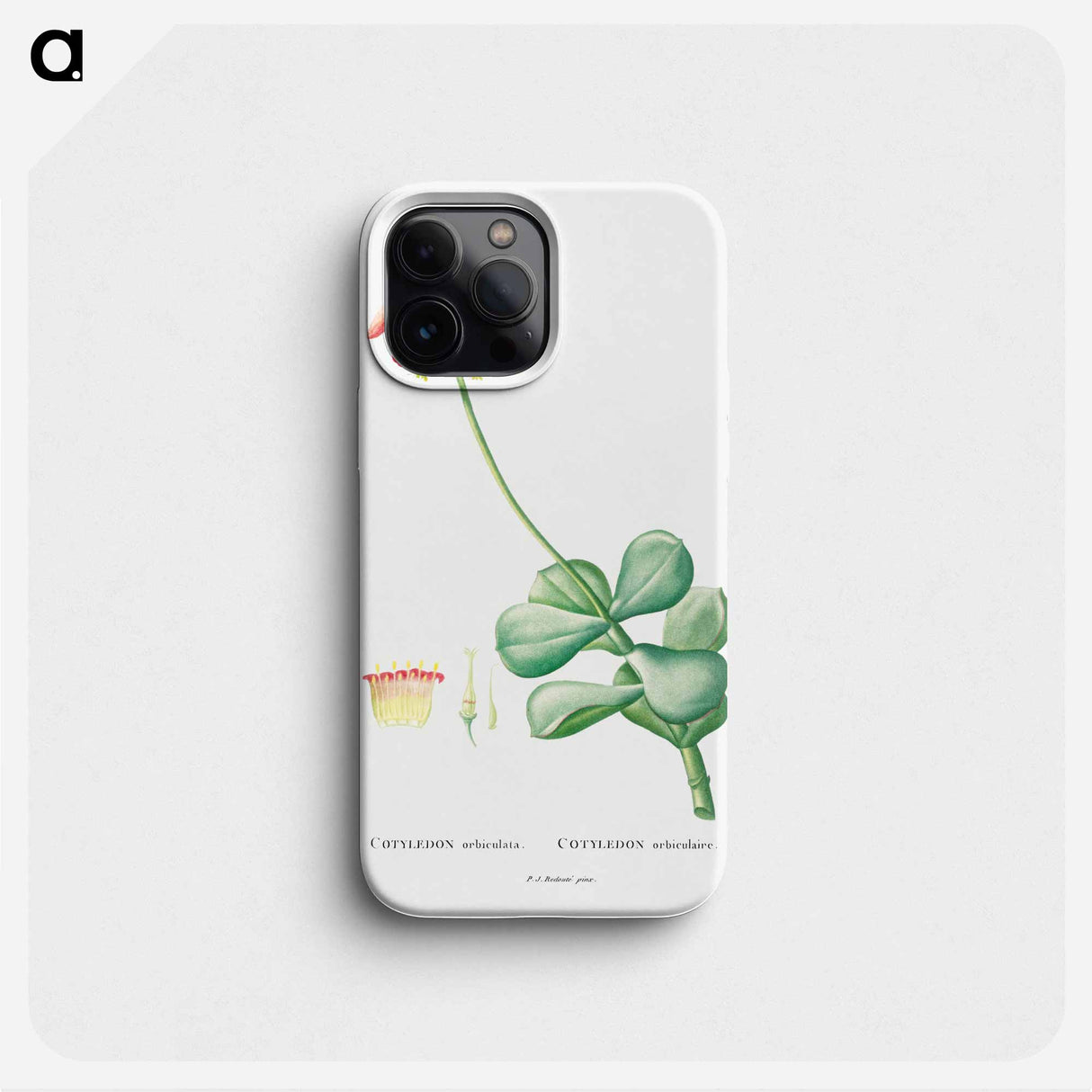 Cotyledon Orbiculata - ピエール ジョゼフ ルドゥーテ Phone Case.