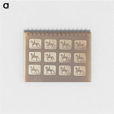 アートメモ帳-Walking - Changing to Trotting
 - エドワード マイブリッジ Memo.