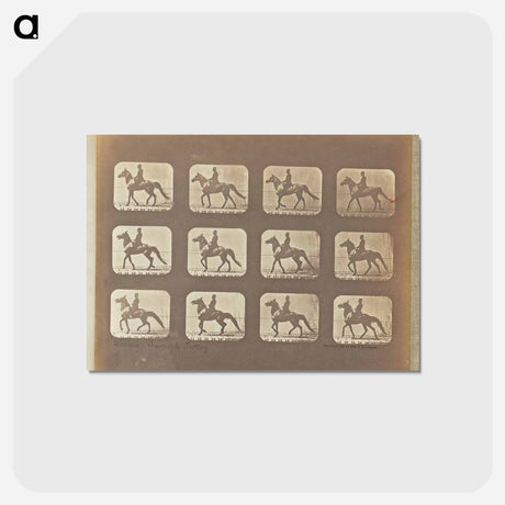 アートポストカード-Walking - Changing to Trotting
 - エドワード マイブリッジ Postcard.