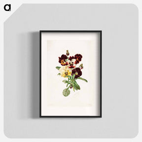 アートポスター-Pansies
 - ボストン公共図書館 Poster.