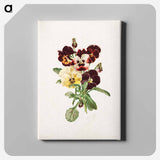 アートパネル-Pansies
 - ボストン公共図書館 Canvas.