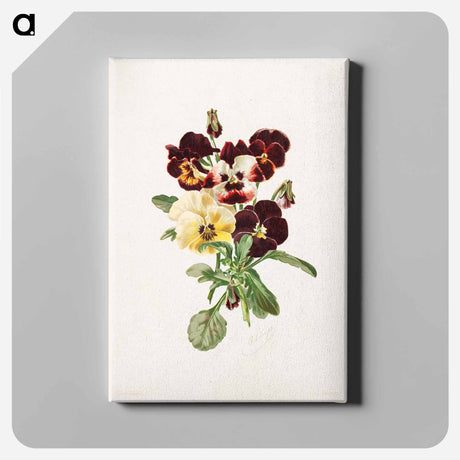 アートパネル-Pansies
 - ボストン公共図書館 Canvas.