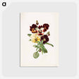 アートポストカード-Pansies
 - ボストン公共図書館 Postcard.