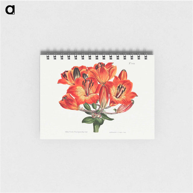 アートメモ帳-Orange Lily
 - クリーブランド美術館 Memo.