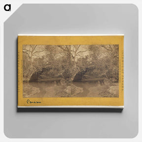 アートパネル-Old Panama. Bridge on Porto Bello Road
 - エドワード マイブリッジ Canvas.