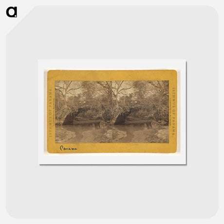 アートポストカード-Old Panama. Bridge on Porto Bello Road
 - エドワード マイブリッジ Postcard.