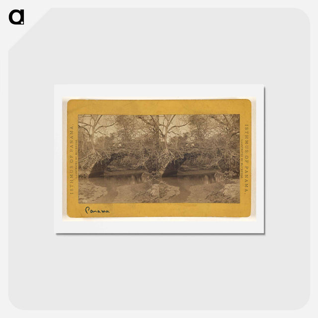 アートポストカード-Old Panama. Bridge on Porto Bello Road
 - エドワード マイブリッジ Postcard.