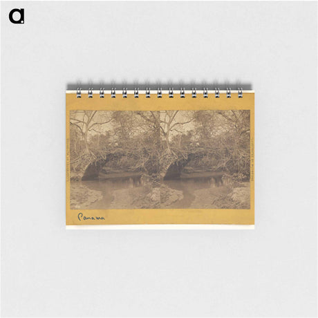 アートメモ帳-Old Panama. Bridge on Porto Bello Road
 - エドワード マイブリッジ Memo.