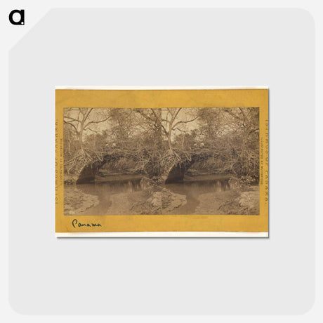 アートポストカード-Old Panama. Bridge on Porto Bello Road
 - エドワード マイブリッジ Postcard.