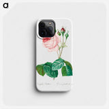 Cabbage rose - Pierre Joseph Redouté Phone Case.