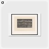 アートポストカード-Woman with Vase
 - エドワード マイブリッジ Postcard.