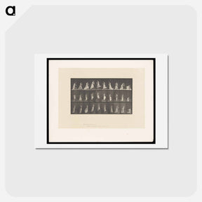 アートポストカード-Woman with Vase
 - エドワード マイブリッジ Postcard.