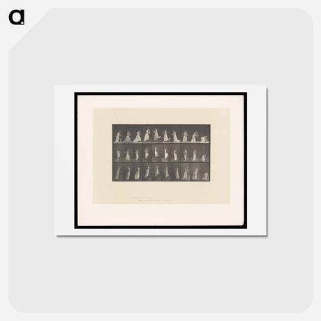 アートポストカード-Woman with Vase
 - エドワード マイブリッジ Postcard.