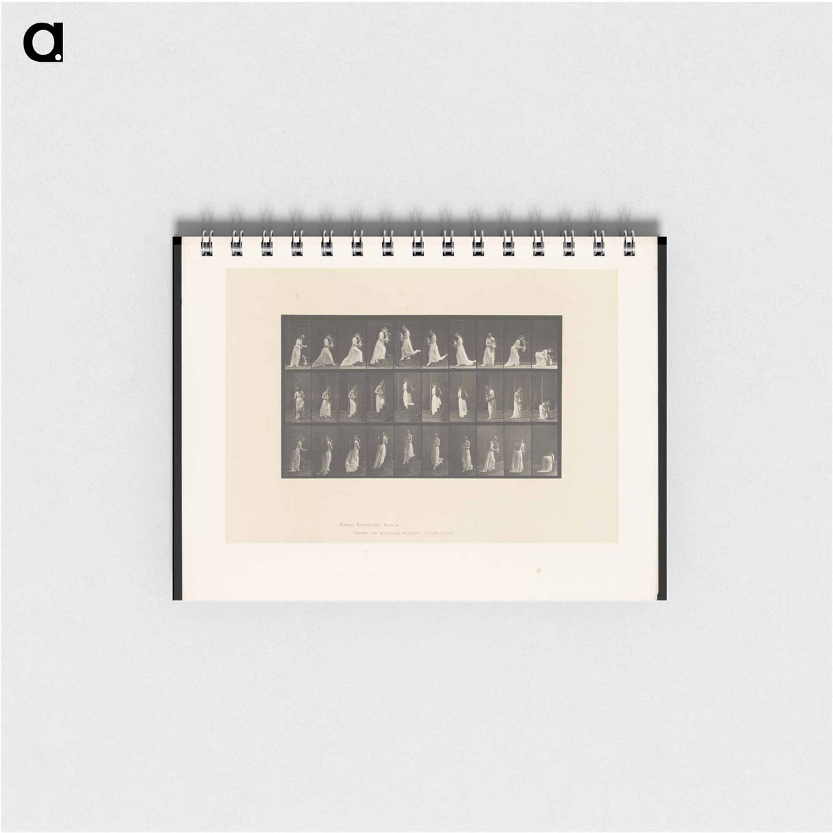 アートメモ帳-Woman with Vase
 - エドワード マイブリッジ Memo.