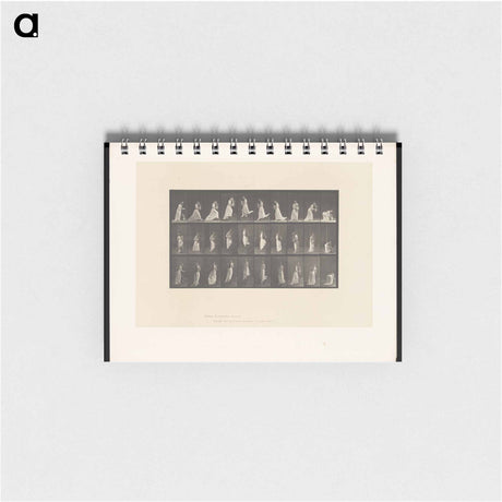 アートメモ帳-Woman with Vase
 - エドワード マイブリッジ Memo.