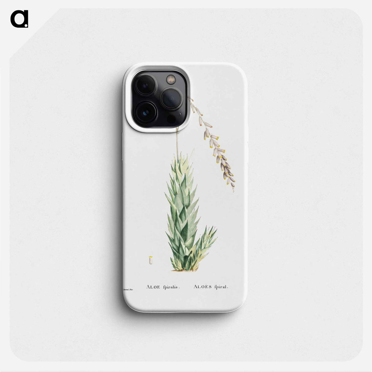Aloe Fpiralis (Spiral Aloe) - ピエール ジョゼフ ルドゥーテ Phone Case.