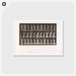 アートポストカード-Collotype of a Girl with Nurse
 - エドワード マイブリッジ Postcard.