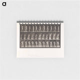 アートメモ帳-Collotype of a Girl with Nurse
 - エドワード マイブリッジ Memo.