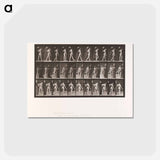 アートポストカード-Collotype of a Girl with Nurse
 - エドワード マイブリッジ Postcard.