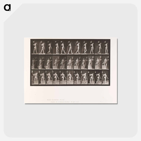 アートポストカード-Collotype of a Girl with Nurse
 - エドワード マイブリッジ Postcard.