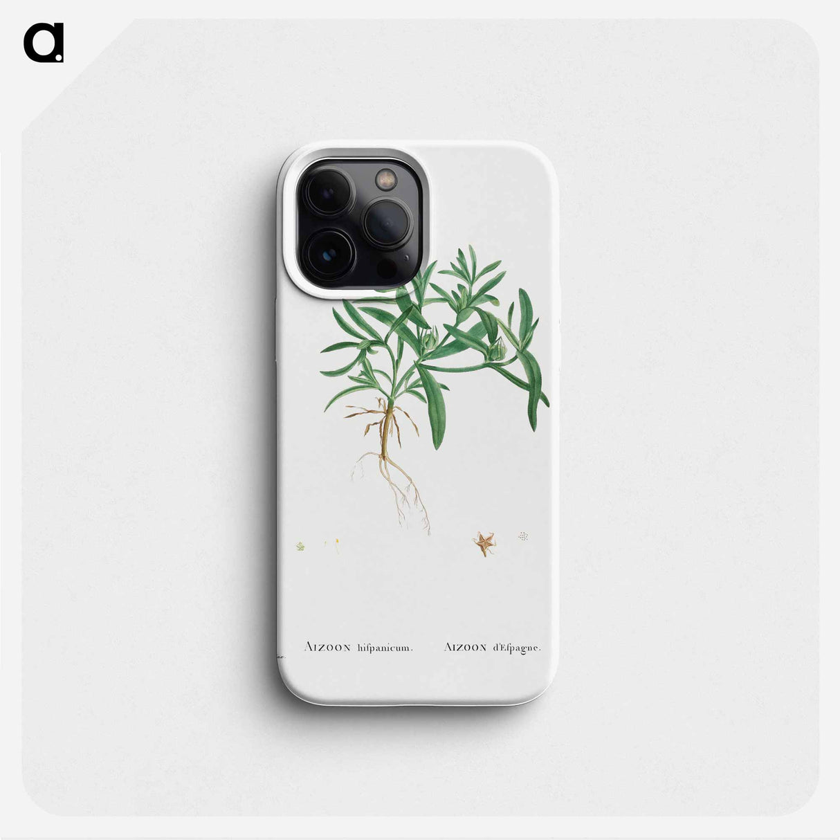 Aizoon Hifpanicum - ピエール ジョゼフ ルドゥーテ Phone Case.