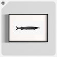 アートポスター-Fish from Manual Of Geology
 - 大英図書館 Poster.